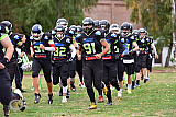 Herne Black Barons vs. Cologne Falcons II