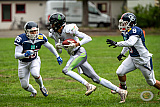 Lippstadt Eagles vs. Dortmund Giants