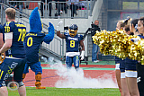Essen Assindia Cardinals vs. Aachen Vampires