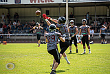 OL: Wuppertal Greyhounds vs. Krefeld Ravens