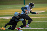 Offenes Training der Bochum Rebels am 28.01.2023