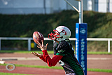 SG Shamrocks/Devils vs. Wuppertal GreyhoundsU19