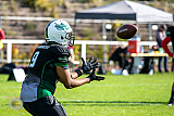 SG Shamrocks/Devils vs. Wuppertal GreyhoundsU19