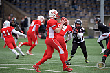 Scrimmage: Gelsenkirchen Devils vs. Wuppertal Grehounds