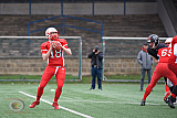 Scrimmage: Gelsenkirchen Devils vs. Wuppertal Grehounds