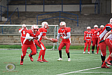 Scrimmage: Gelsenkirchen Devils vs. Wuppertal Grehounds
