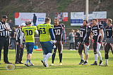 WB: Wuppertal Greyhounds vs. Assindia Cardinals