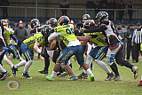 WB: Wuppertal Greyhounds vs. Assindia Cardinals