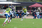 WB: Wuppertal Greyhounds vs. Assindia Cardinals