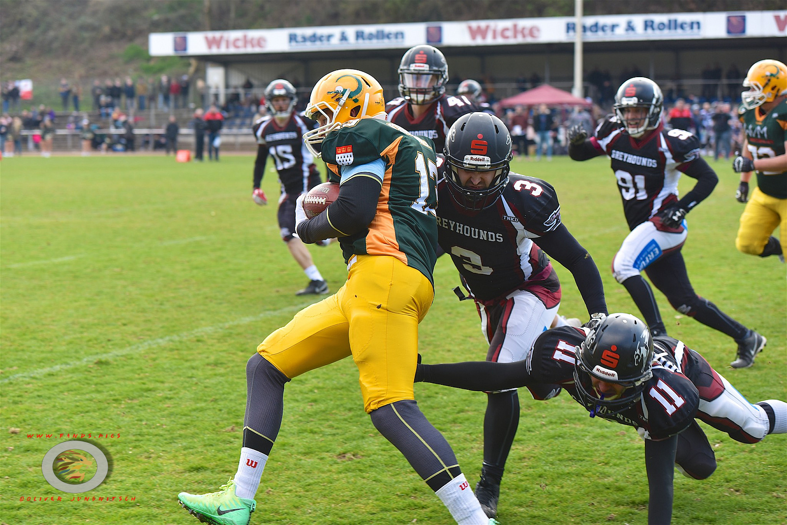 WB: Wuppertal Greyhounds vs. Cologne Crocodiles Prospects