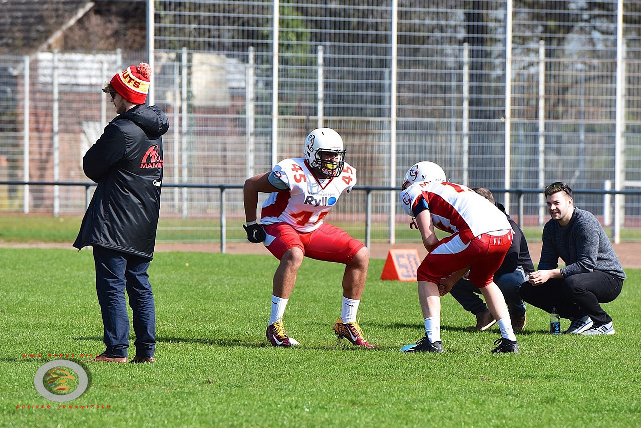 Scrimmage: Münster Mammuts - Assindia Cardinals (U19)